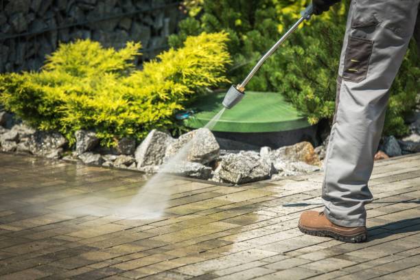 Best Animal Enclosure Cleaning  in Panacea, FL