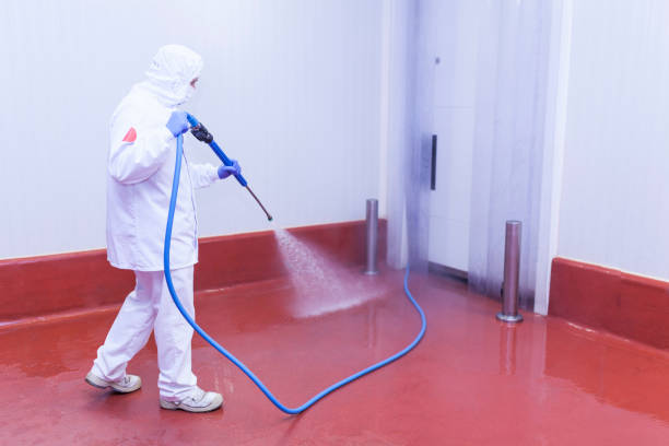 Best Playground Equipment Cleaning  in Panacea, FL