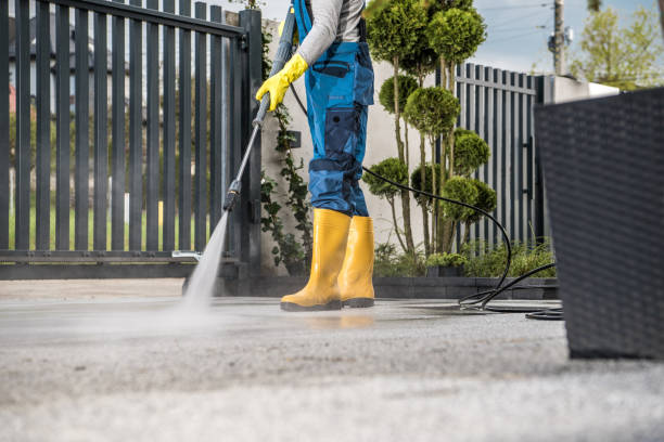 Best House Exterior Washing  in Panacea, FL